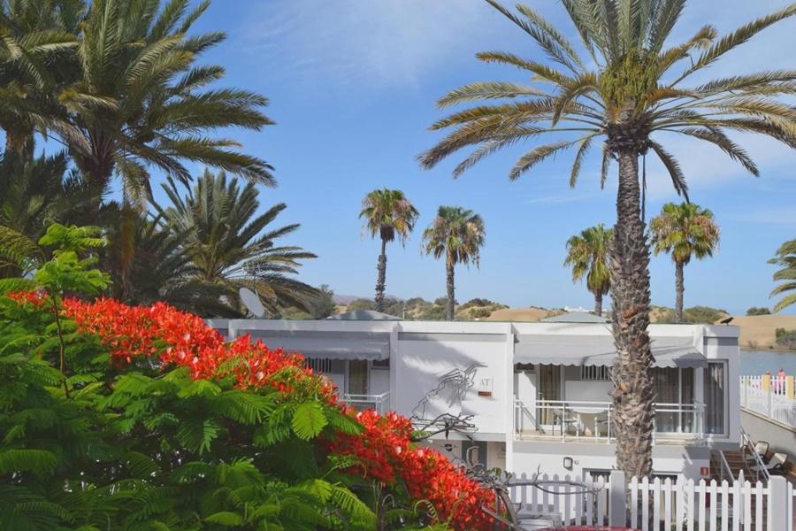 Apartamentos Dunaoasis Maspalomas Maspalomas  Dış mekan fotoğraf